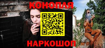 индика Обь