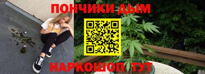 индика Обь