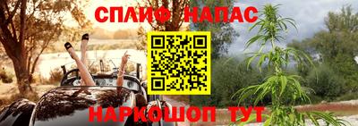 индика Обь