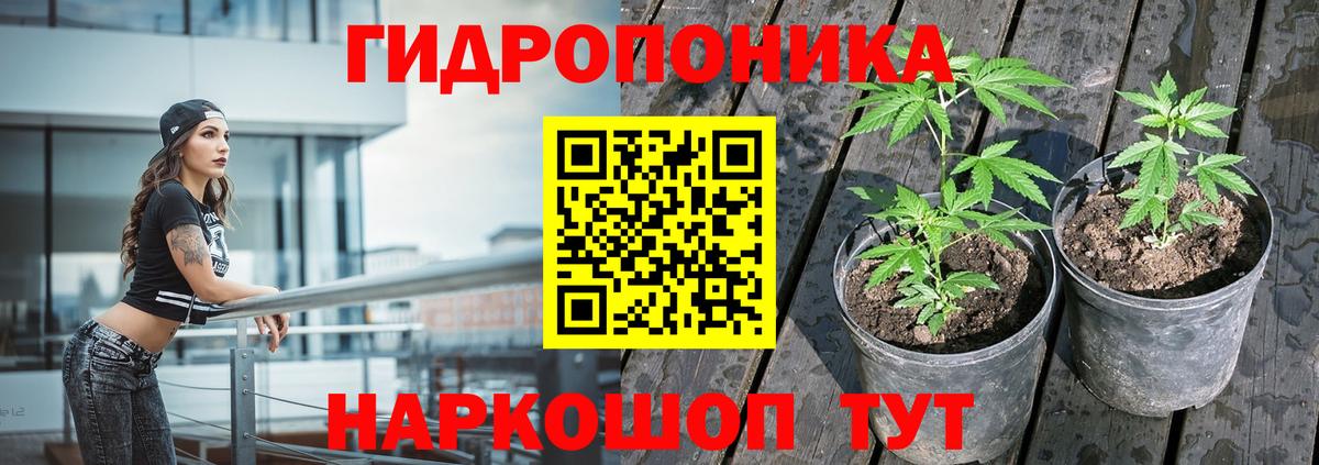 Каннабис White Widow Советск